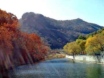 莱芜烧饼，宿松关键词优化